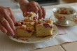 Homemade pastries - yeast cake with rhubarb and crumble 