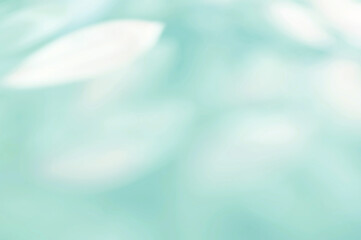 Green Mint Leaf background. Blurred leaves and circular bokeh Abstract wallpaper for backdrop and design