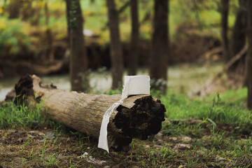 Weathered toilet roll left sitting on log at nature camp ground