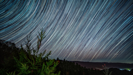 Wall Mural - starry night sky