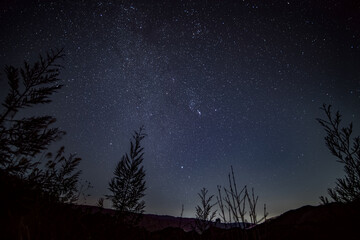 Wall Mural - starry night sky