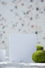 Canvas Print - White geometric pedestal on terrazzo background with summer sunlight and green moss rock