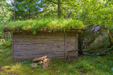 Wall Mural - Log cabin in a forest