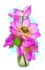 Wall Mural - Abstract of lotus flower arrangements with color splashed on white background.
