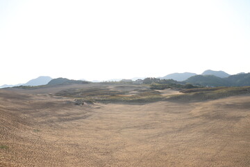 sand dunes in the desert