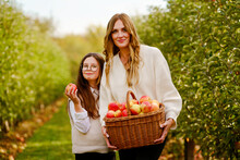 Happy School Girl And Beautiful Mother With Red Apples In Organic Orchard. Happy Woman And Kid Daughter Picking Ripe Fruits From Trees And Having Fun In Garden. Harvest Season For Family.