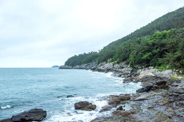 Wall Mural - The beautiful landscape of sea.