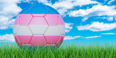 Soccer ball with transgender flag on the green grass against blue sky, 3D rendering