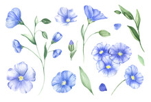 A Set Of Blue Wildflowers And Flax Buds. Blue Wildflowers Painted In Watercolor . Watercolor Wild Flower For Background, Texture, Wrapper Pattern, Frame Or Border.