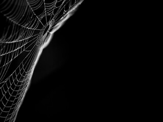 spider web graphic material