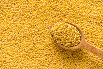 Poster - Yellow millet background. Top view	