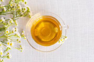 Canvas Print - Chamomile herbal tea on a light pastel background. copy space