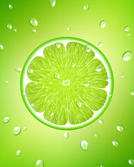 Wall Mural - Background of fresh green lime slices and drops of water. Seamless pattern for your design. Realistic 3d vector illustration. Close-up.