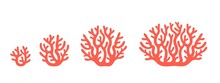 Crop Stages Of Coral. Isolated Coral On White Background
