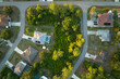 Aerial view of suburban landscape with private homes between green palm trees in Florida quiet residential area