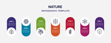 Infographic Template With Icons And 7 Options Or Steps. Infographic For Nature Concept. Included Birch, Dahlia, Willow, Mimosa, Pinnate, Aster, Daisy Icons.