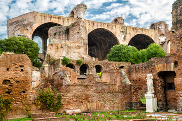 Wall Mural - Roman Forum, Rome, Italy. Basilica of Maxentius in background.
