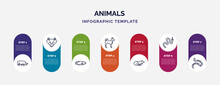 Infographic Template With Icons And 7 Options Or Steps. Infographic For Animals Concept. Included Rhinoceros, Badger, Big Fish, Puppy, Otter, Cottonmouth, Copperhead Icons.
