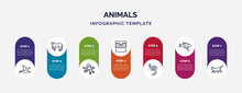 Infographic Template With Icons And 7 Options Or Steps. Infographic For Animals Concept. Included Albatross, Puma, Aquarium Octopus, Big Owl, Blindworm, Fish And A Knife, Kitten Icons.