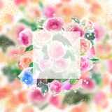 Fototapeta Kwiaty - ピンクとオレンジ色のバラのピエールドロンサールのフラワーリースと金粉の手描き水彩画イラストと正方形型のメッセージカード