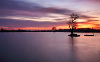 Wall Mural - pond at sunset with silhouette tree, water landscape