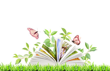 Wall Mural - Book of nature. Book open, green leaves and two butterflies. Isolated on white background