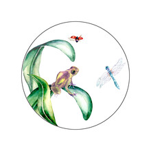 Circle Frame With Frog, Ladybug And Dragonfly Watercolor Illustration On White
