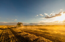 Combine Harvester Blowing Dust On Wheat Field At Sunset