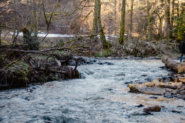 Wall Mural - river in the mountains