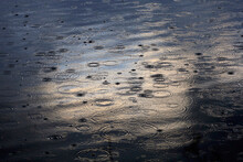 Rippled Water Surface During Rain