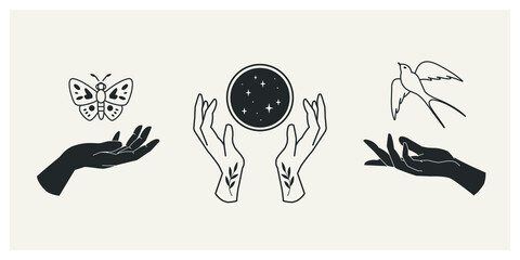 Wall Mural - set of female hands with butterfly, bird and crystal ball. this magical collection will be great for