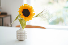 Sunflower In White Vase On Table