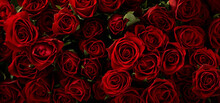 Red Roses Vintage Grunge Background