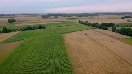 Poster - Aerial drone 4k video of fields in Mazowsze region of Poland, Wegrow County