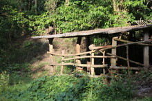 Cow Shed Or Cattle Shed In The Countryside Made From Naturally Available Materials In A Daylight