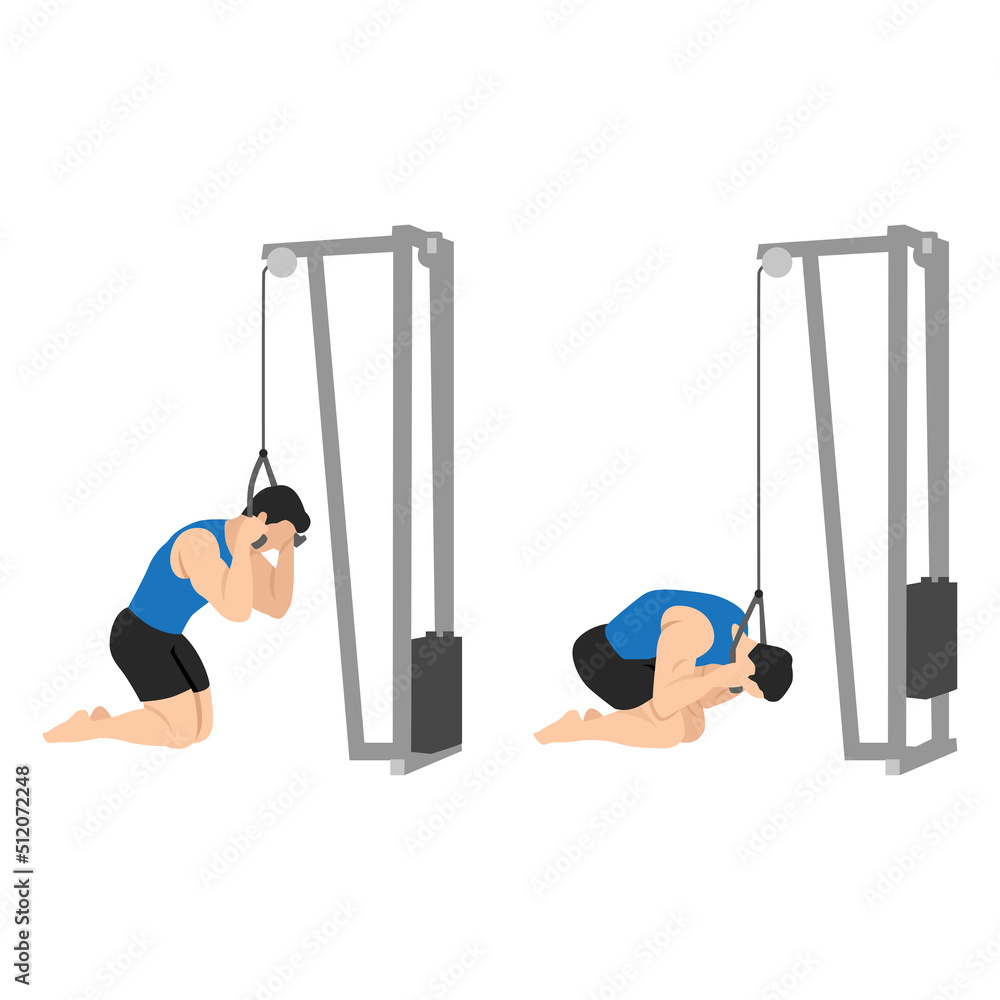 Man doing rope ab pulldown exercise. Flat vector illustration isolated on white background Stock Vector Adobe Stock