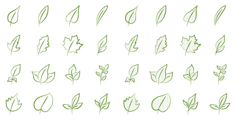 Wall Mural - Vector set of green leaves in doodle style on a white background. Nature, leaf, foliage, ecology clip art design.