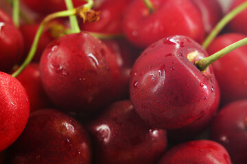 Wall Mural - heap of fresh tasty cherries background, top view