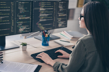 profile side view portrait of attractive focused qualified girl geek improving task issue web develo