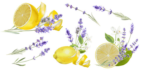 Wall Mural - Watercolor bouquet of lemons and lavender isolated on white background.