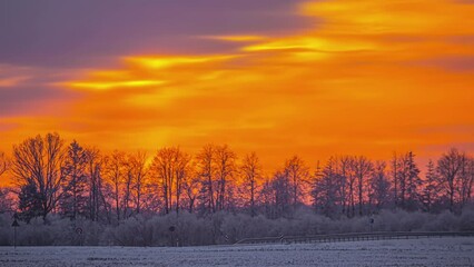 Wall Mural - Country Road And Tree Silhouettes During Winter Against Vibrant Sunset Sky. Timelapse