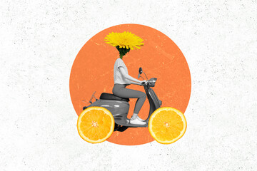 Poster - Creative collage image of person black white gamma flower instead head orange slices wheels drive moped isolated on drawing background