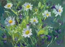 Chamomile Field Gouache Painting. Summer White Purple Flowers Close-up In A Meadow. Original Author's Painting, Illustration For Notebooks, Sketchbooks, Albums Of Creativity. Plein Air Sketch.