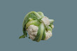 Head of cauliflower, white cabbage