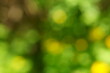 © Станислав  - Blurred color background. Background image. Green leaves and yellow wildflowers. Color image.