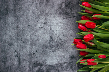  Red tulips on a concrete background. Beautiful flowers on the table