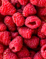 Wall Mural - Close up fresh raspberries on the table