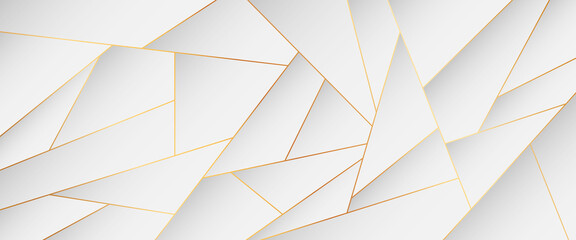 Wall Mural - illustration of abstract vector background with gold lines and white geometric shapes