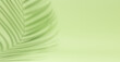 © lizaelesina - Horizontal banner with natural palm shadows on green wall. Floral silhouette on green background