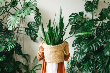 A young woman holds a pot with a green plant in her hands, covering her face with it. The concept of eco-friendly housing and minimalism